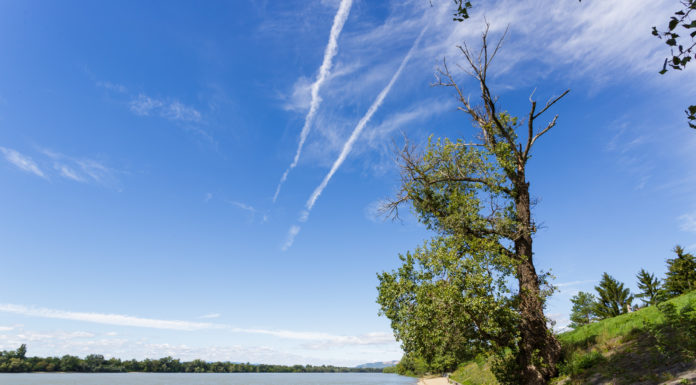 Ökológiai katasztrófa Szlovákiában: a Dunába is juthat a szennyezőanyagból