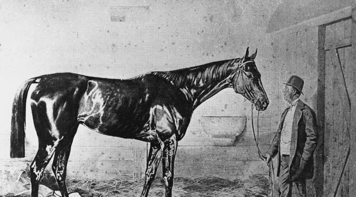 Újévi jótékonykodás: cica szobrára gyűjtenek gödi művészek