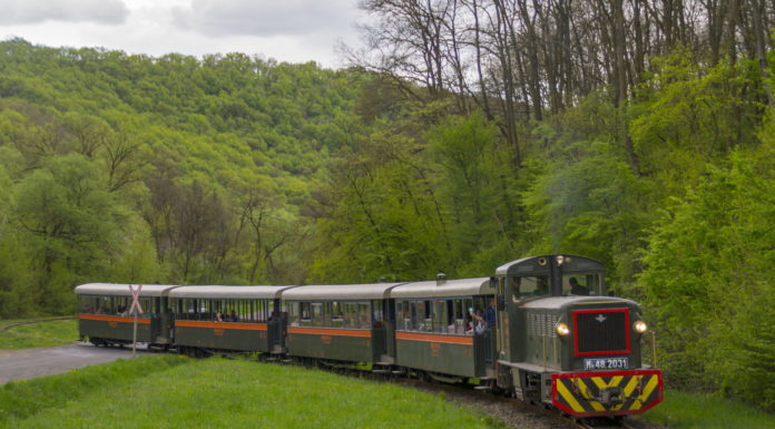 Kajla – kisvasút a Dunakanyarban