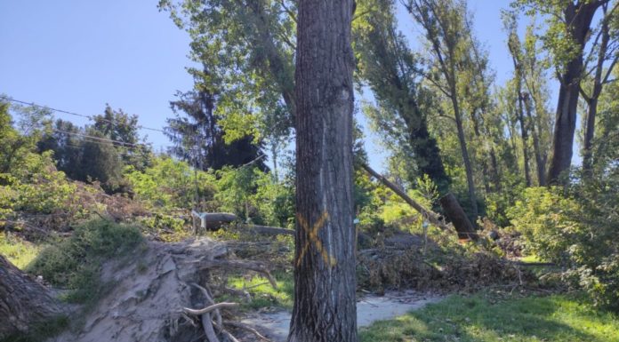 170 kilométeres szél volt Göd környékén