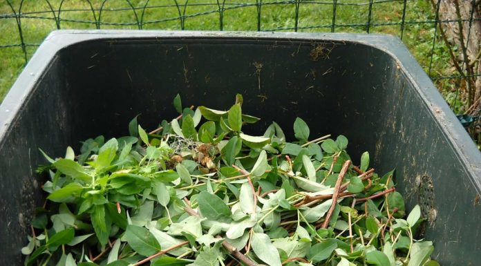 Itt vannak a zöldhulladékkal kapcsolatos információk