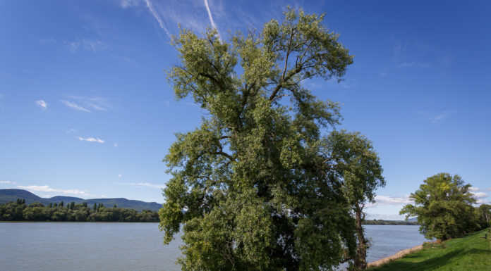 Megdőlt az országos melegrekord