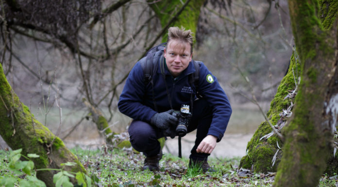 Varázslatos ilyen lények között mozogni – interjú Potyó Imrével, az év természetfotósával