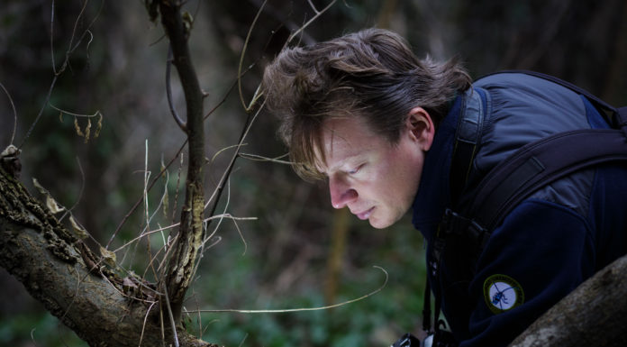 Nemzetközi fotópályázaton díjazták a gödi Potyó Imre képeit