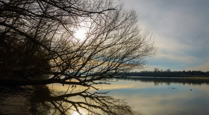 Újabb elképesztő felvételek Gödről!