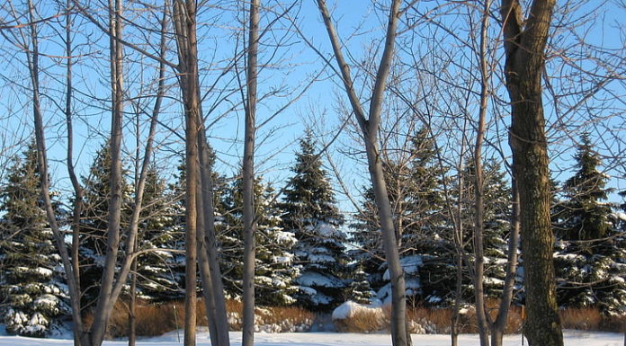 Jó nagyot havazhat ma nálunk is a meteorológia szerint