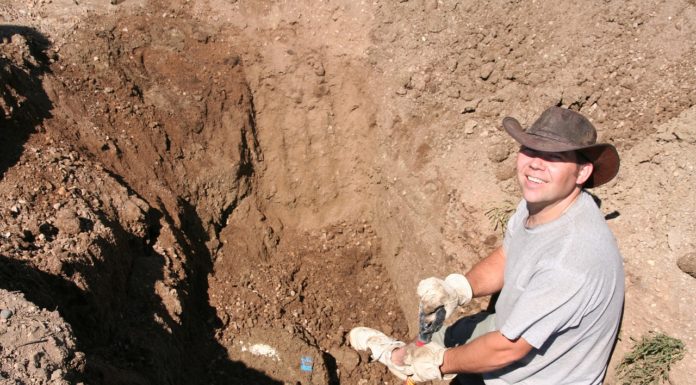 Kiderült, mikor szállítják el a szerves anyagokat és a kiásott földet Gödön