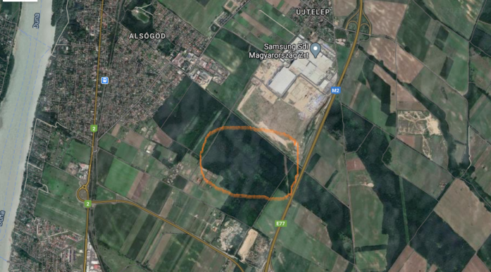 Kisajátítanának egy erdőt a Samsung-gyár közelében