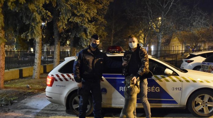 Hazakerült a Gödről ellopott Jokey