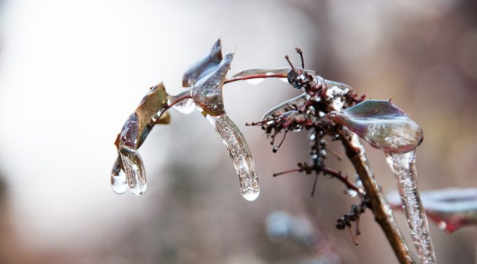 Hófúvás, szélvihar – figyelmeztetések Pest megyére