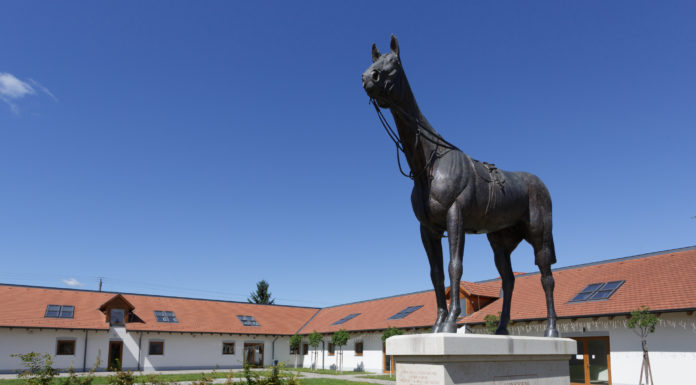 Munkácsy-díjat kapott Tóth Béla, a gödi Kincsem szobor alkotója
