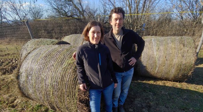 A gödi Bekában is árulják a testvérpár szörpjeit