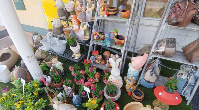 Mit szólnak a gödi szolgáltatók az újabb bezárásokhoz?