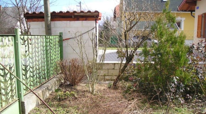 Zöldhulladéka van? Nézze meg, hogyan és mikor vitetheti el