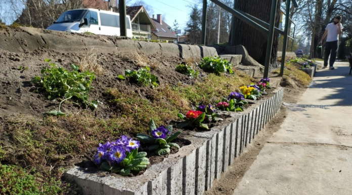 Legyél Te is (zöld)kommandós Gödön!