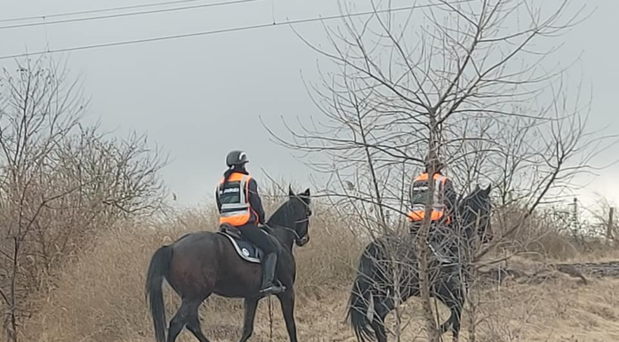 Lovas polgárőrök tartják távol az illegális szemétlerakókat