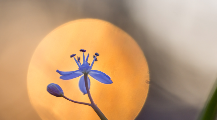 Potyó Imre is várja a tavaszt