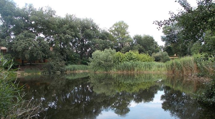 Elkezdődött a kárfelszámolás a Feneketlen-tónál