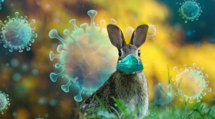 Alig két hét múlva visszatérhetünk a normális élethez