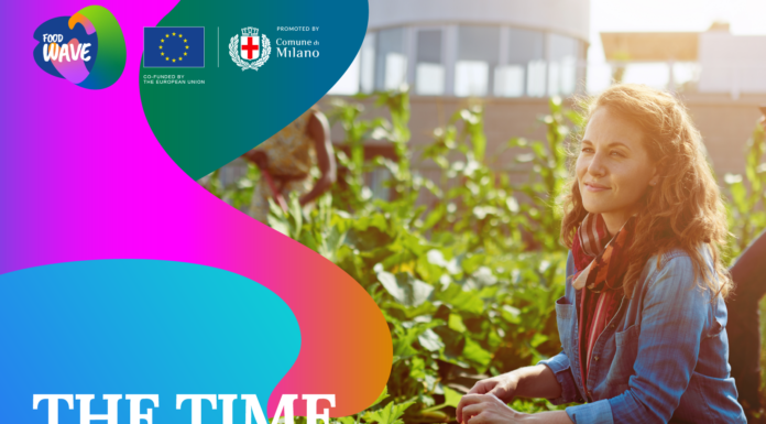 Pest megyei fiatalok a fenntartható fejlődésért