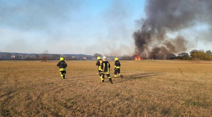 Tűz volt este Vácrátót közelében