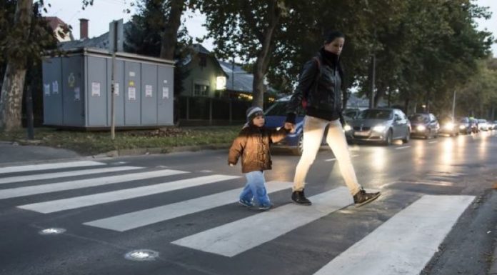 Legyen Gödön okoszebra? Szavazzon Ön is!