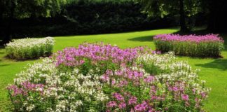 Csaknem 80 díjjal ismerték el a Virágos Magyarország verseny idei nyerteseit