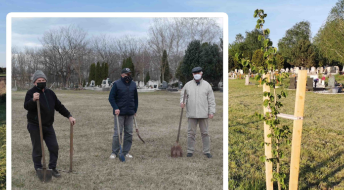 20 fát ültettek el a Gödi Lokálpatrióták