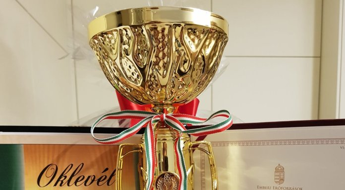 Kitüntető díjat kapott Göd városától Dézsi Yvett