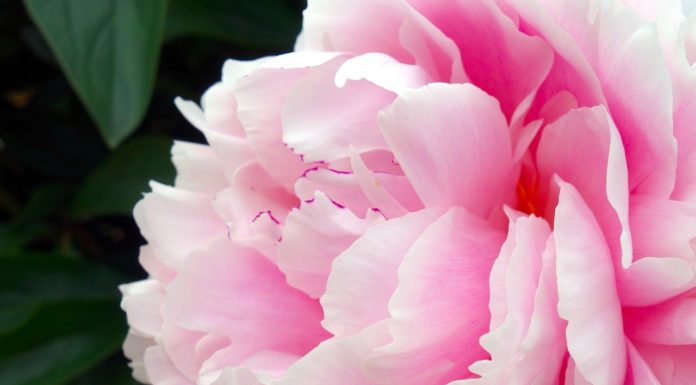 Derítse ki, mennyit tud a pünkösdi ünnepről!