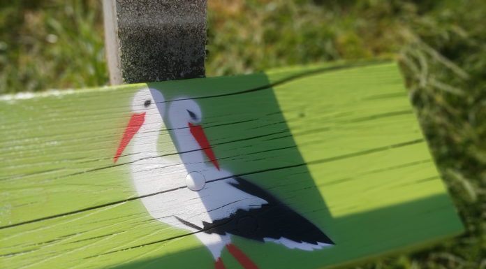 Kétfejű gólya – Gödön akciózott a Kétfarkú Kutya Párt