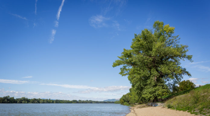 Jó, ha tudják a gödiek, hol lehet fürödni a Dunában