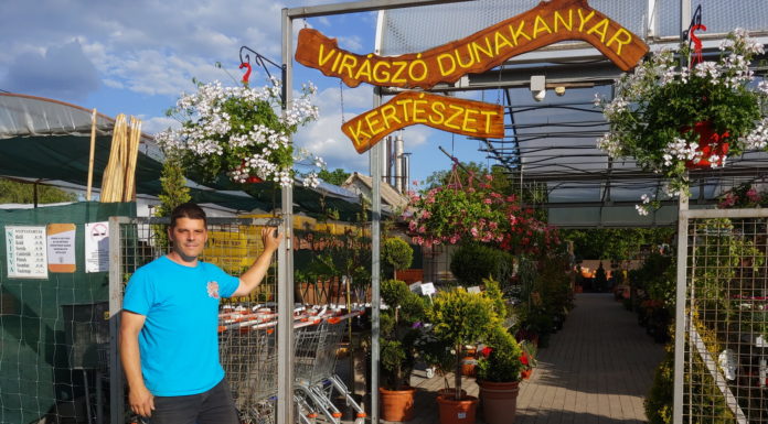 A kertészet, amit mindenki ismer: a Virágzó Dunakanyarban jártunk
