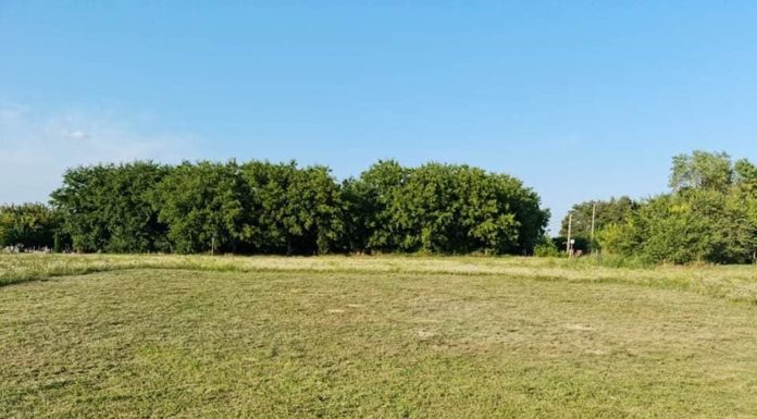 Anyagi támogatást a Váci Önkéntes Tűzoltó Egyesületnek