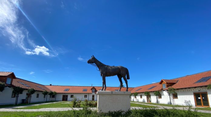 Három helyen is bulizhatunk Gödön augusztus 20-án