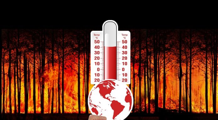 Szívügye a jövő? Véleményezze Göd klímastratégiáját!