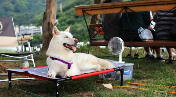 Újabb hőségriasztást rendeltek el Gödre is
