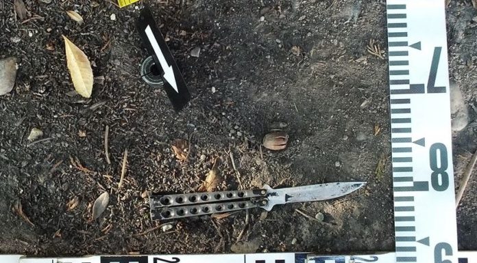 Gödön késelte halálra barátnőjét egy férfi