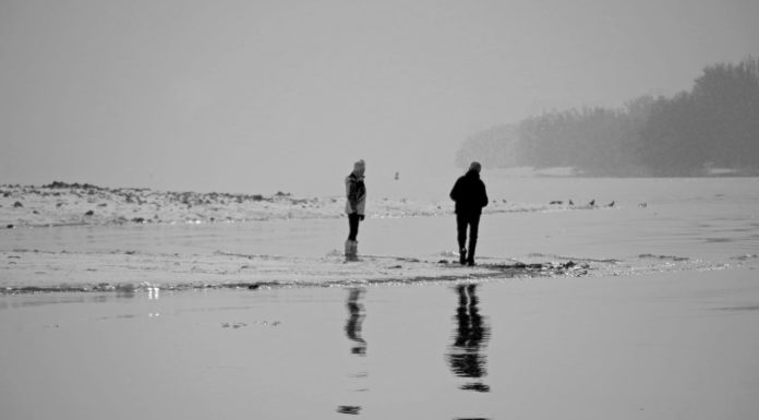 Ízelítő a fotópályázat eddigi képeiből