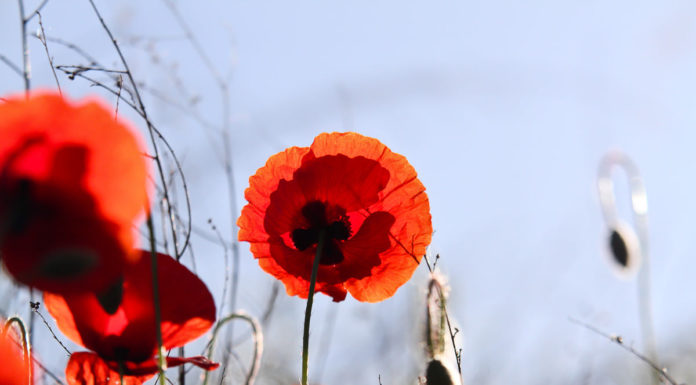 Nyerjen wellnesshétvégét a fotóival!