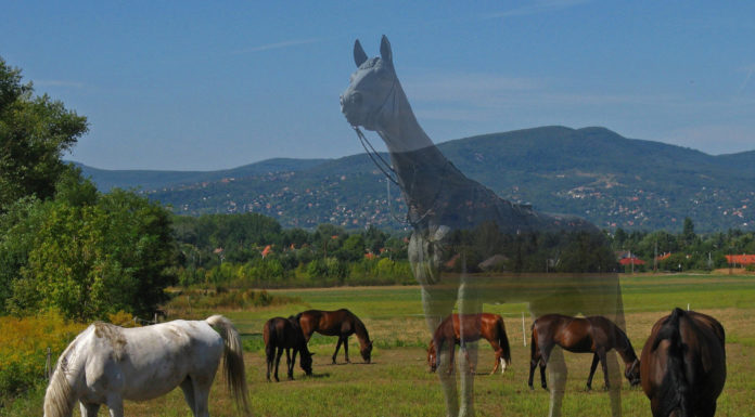 Meghosszabbítjuk a jelentkezést, még van esély!