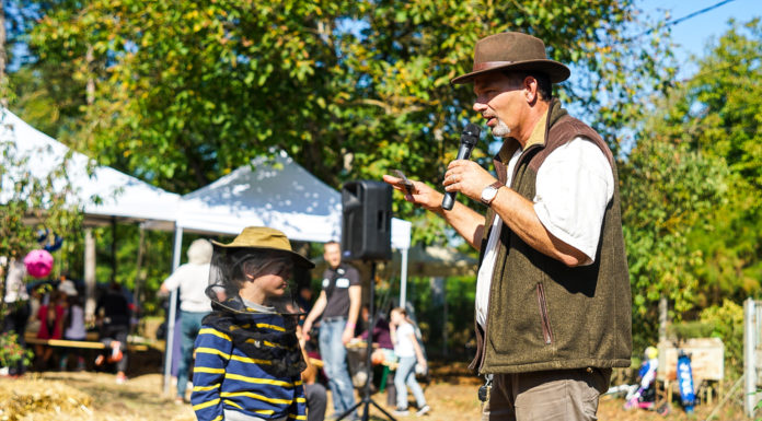 Méhek, mézek, méhészek: a gödi Mézfesztiválon kóstolni és tanulni is lehet