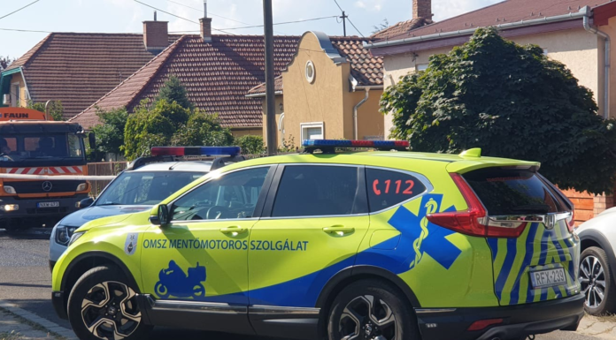 Nem ezért ölt Dunakeszin a családirtó