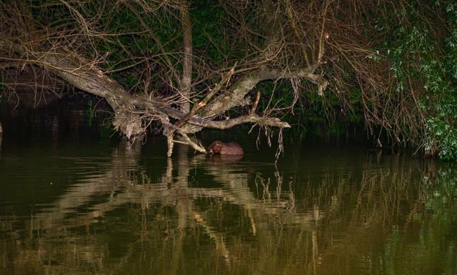 Utolsó figyelmeztetés