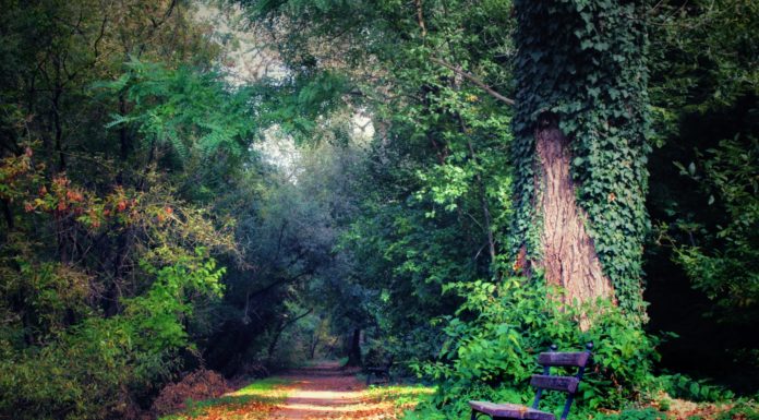 Már csak alig 3 nap maradt