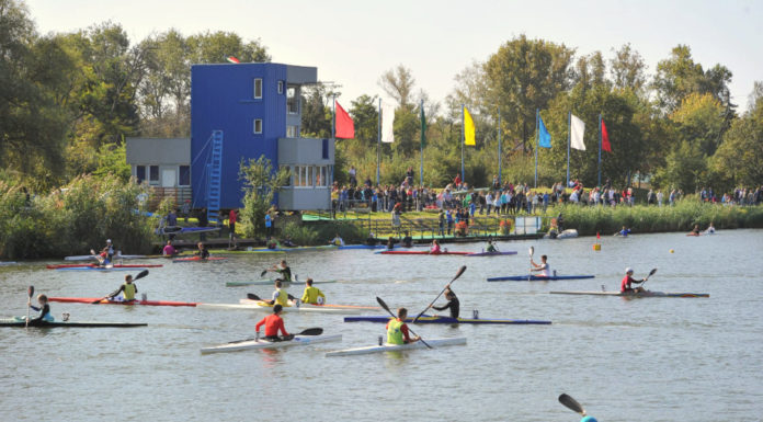 Három arannyal és négy ezüsttel jöttek haza Szolnokról a gödiek