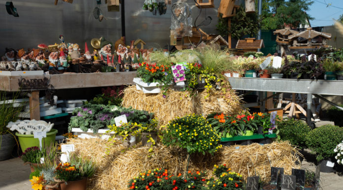 A Gödön is híres áruda nyerte el a kiváló címet idén