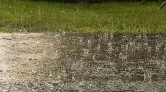 Csíz utca – mikor hol dolgoznak a csapadékelvezetésen?