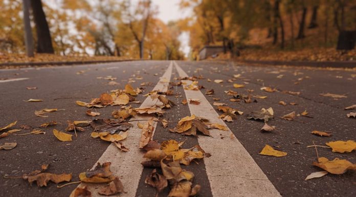 Mi legyen a most lehulló gödi levelekkel?