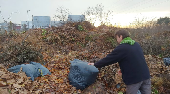 Leadták a zöldhulladékokat a gödiek